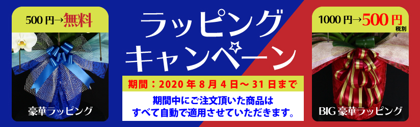 ラッピングキャンペーン 豪華ラッピングが無料でBIG豪華ラッピングは500円