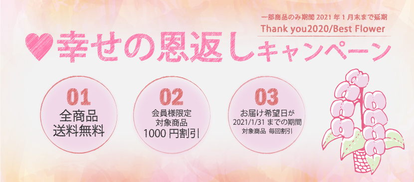 送料無料と会員様限定1000円割引 幸せの恩返しキャンペーン