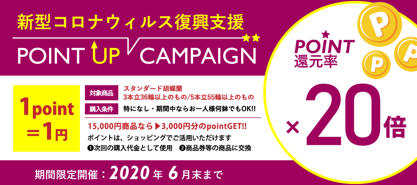 新型コロナウィルス復興支援ポイントアップキャンペーン 胡蝶蘭でコロナ対策復興支援キャンペーン