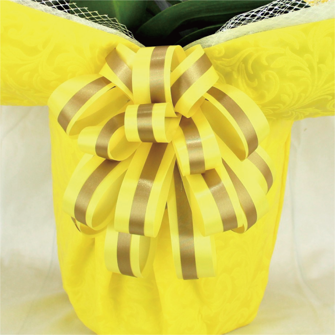 BIG豪華/イエロー