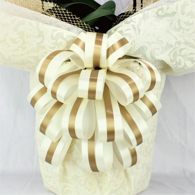 BIG豪華/ホワイト