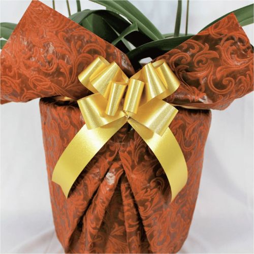 シンプル/柄ブラウン