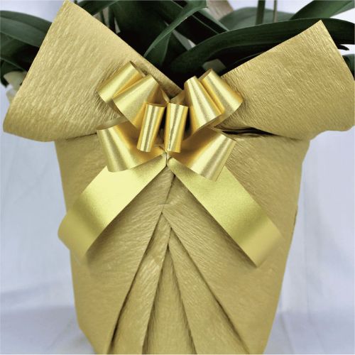 シンプル/和紙ゴールド