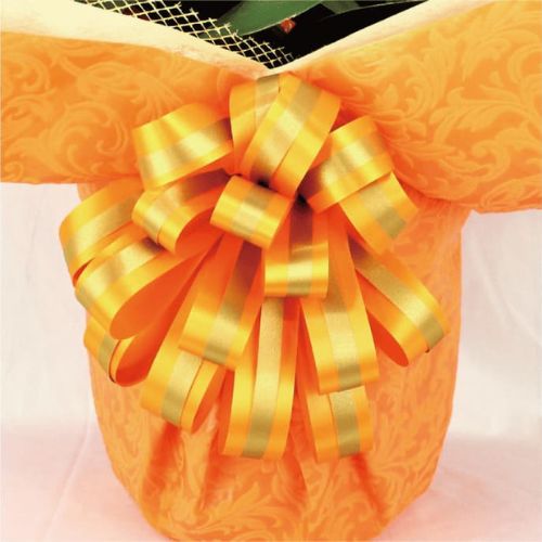 BIG豪華/オレンジ