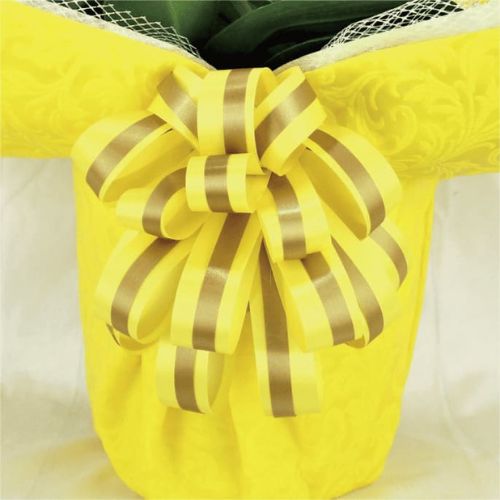 BIG豪華/イエロー