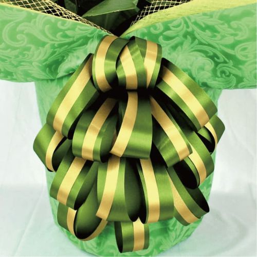 BIG豪華/グリーン