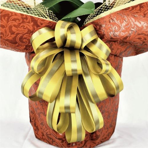 BIG豪華/ブラウン