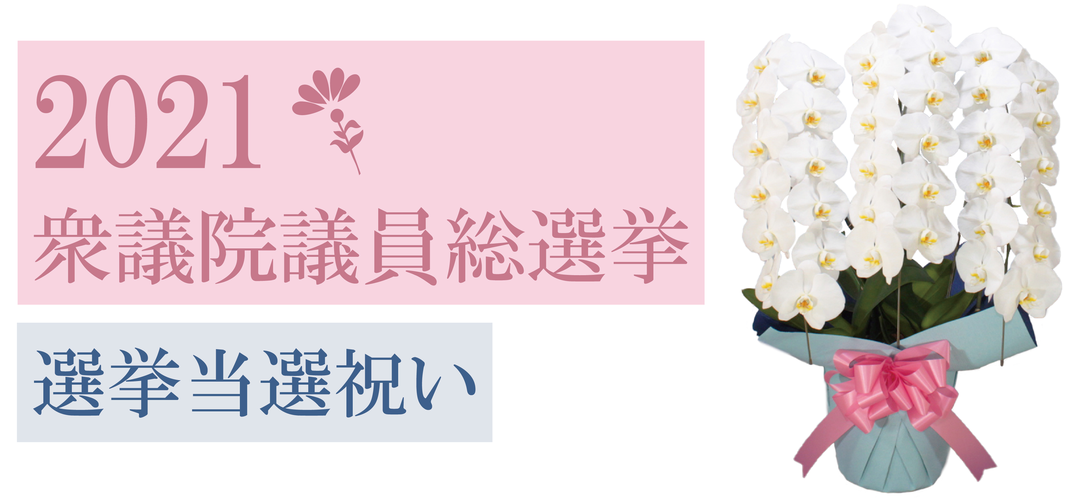 2021衆議院選挙 2021衆議院