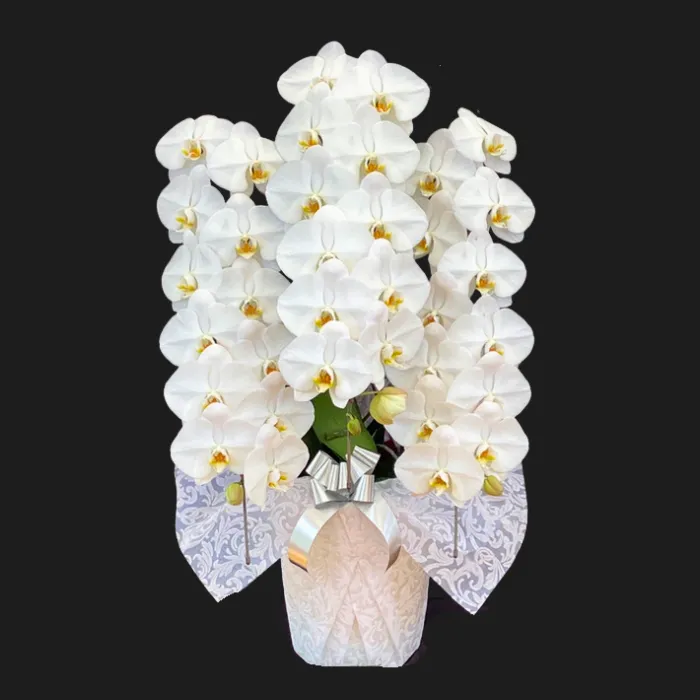 岐阜県 開店祝い