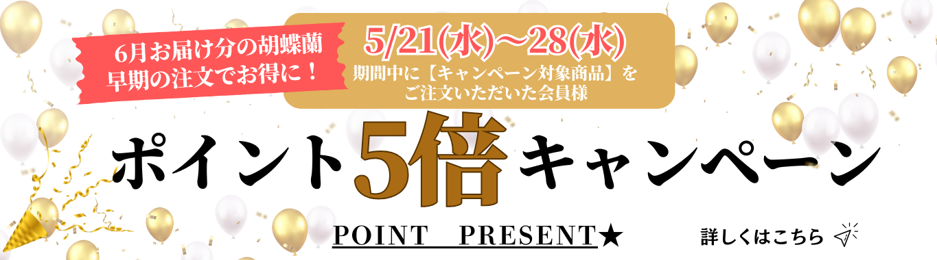 ポイント5倍キャンペーン