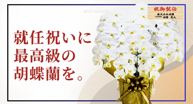 就任祝い