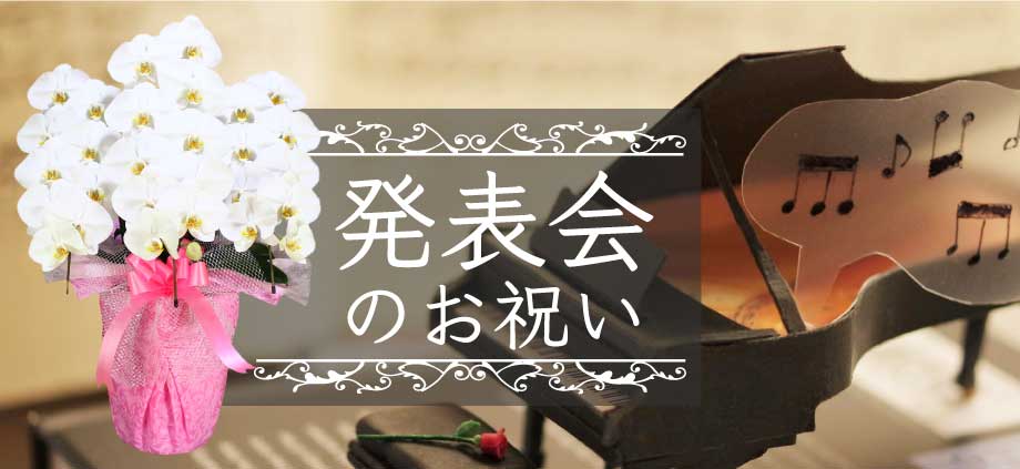 発表会祝いの胡蝶蘭のトップバナー