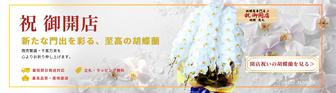 開店祝い