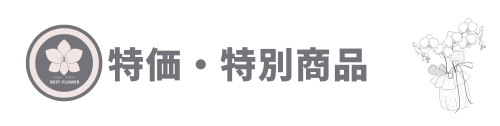 特価・特別商品