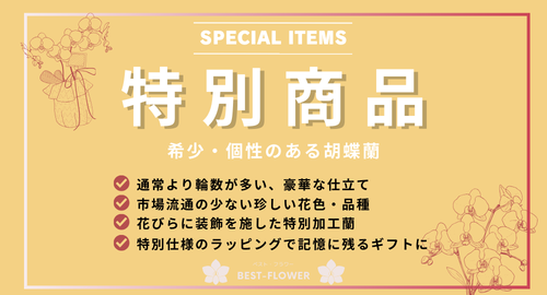 希少・個性のある胡蝶蘭