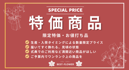 特価・お値打ち商品