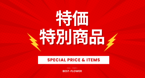 特価・特別商品