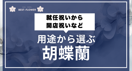 用途から選ぶ