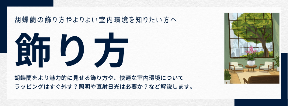 胡蝶蘭の美しい飾り方と花に適した室内環境