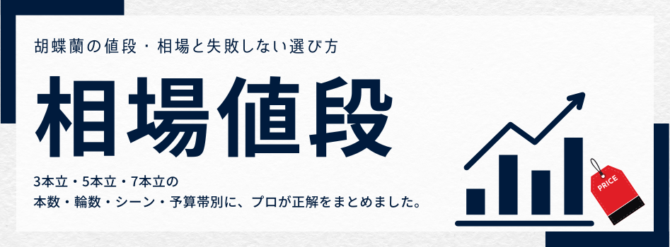 お祝いのシーン別・胡蝶蘭の値段相場と予算ガイド