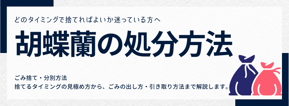 枯れた胡蝶蘭の正しい処分方法と鉢・土の捨て方