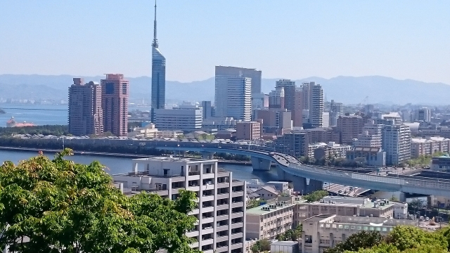 福岡県に胡蝶蘭をお届けするならベストフラワー 胡蝶蘭通販ベストフラワー