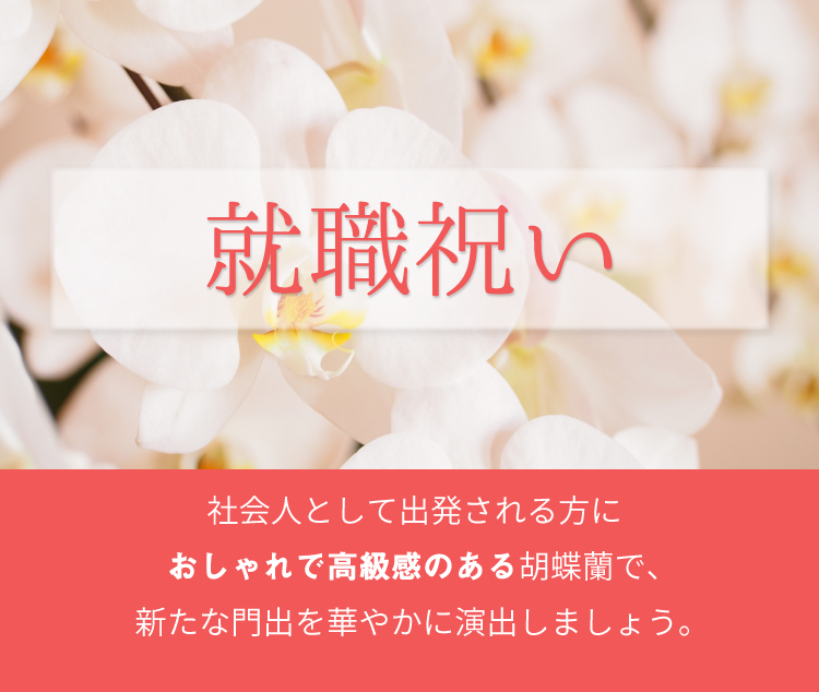 昇進のお祝い 就職のお祝い