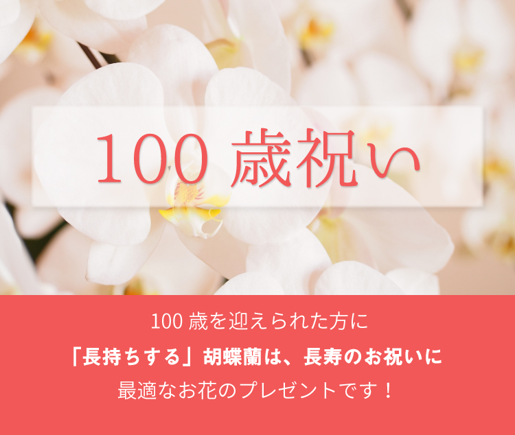 100歳のお祝いの胡蝶蘭のトップバナー