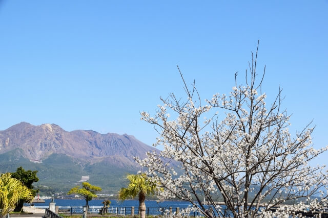 鹿児島県