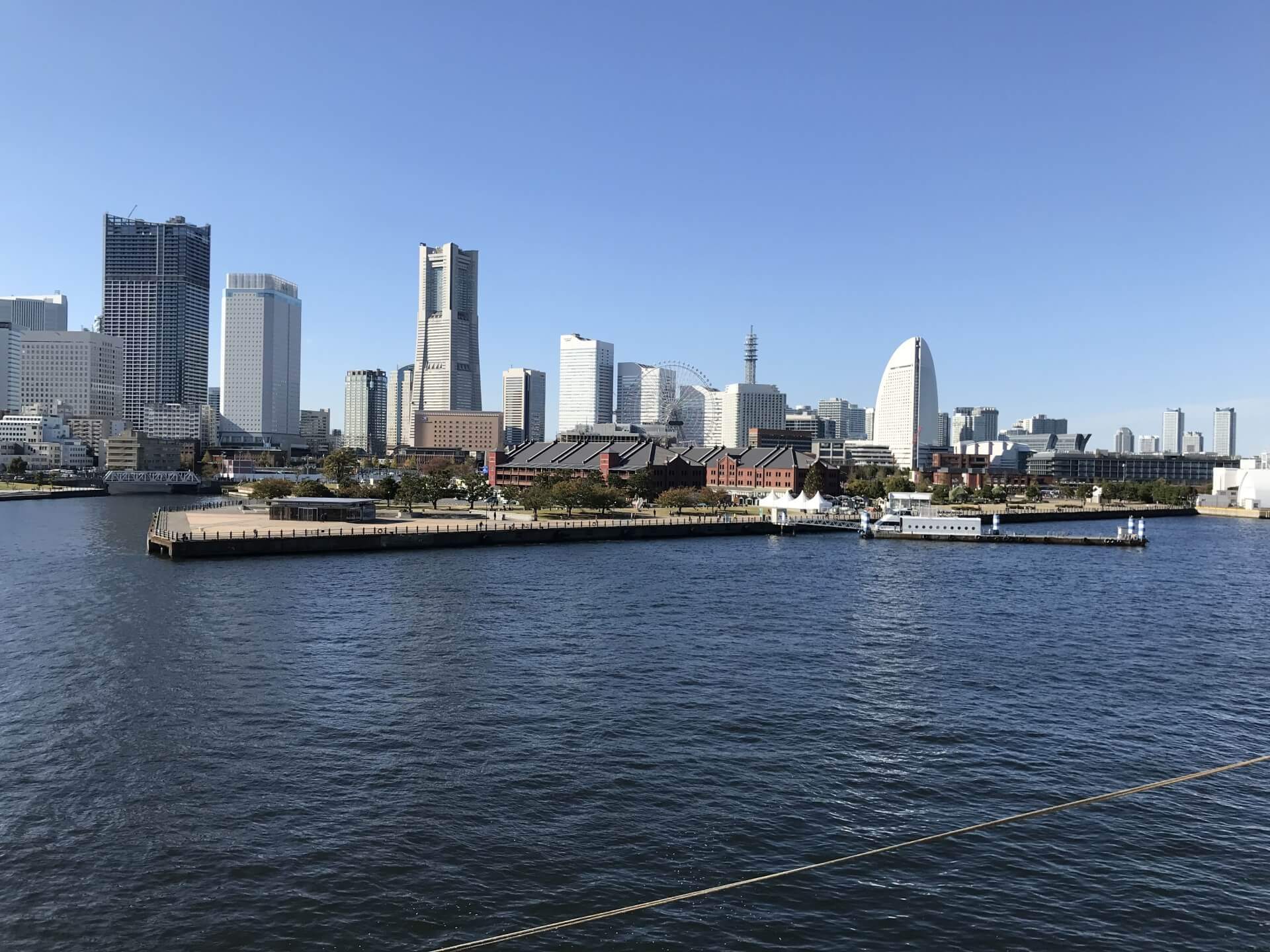 横浜・神奈川に胡蝶蘭を配送するならベストフラワー | 胡蝶蘭通販