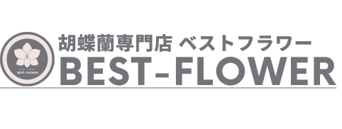 胡蝶蘭通販ベストフラワー