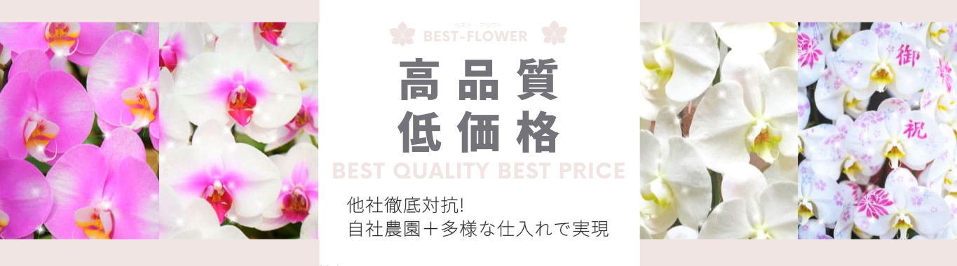 高品質低価格