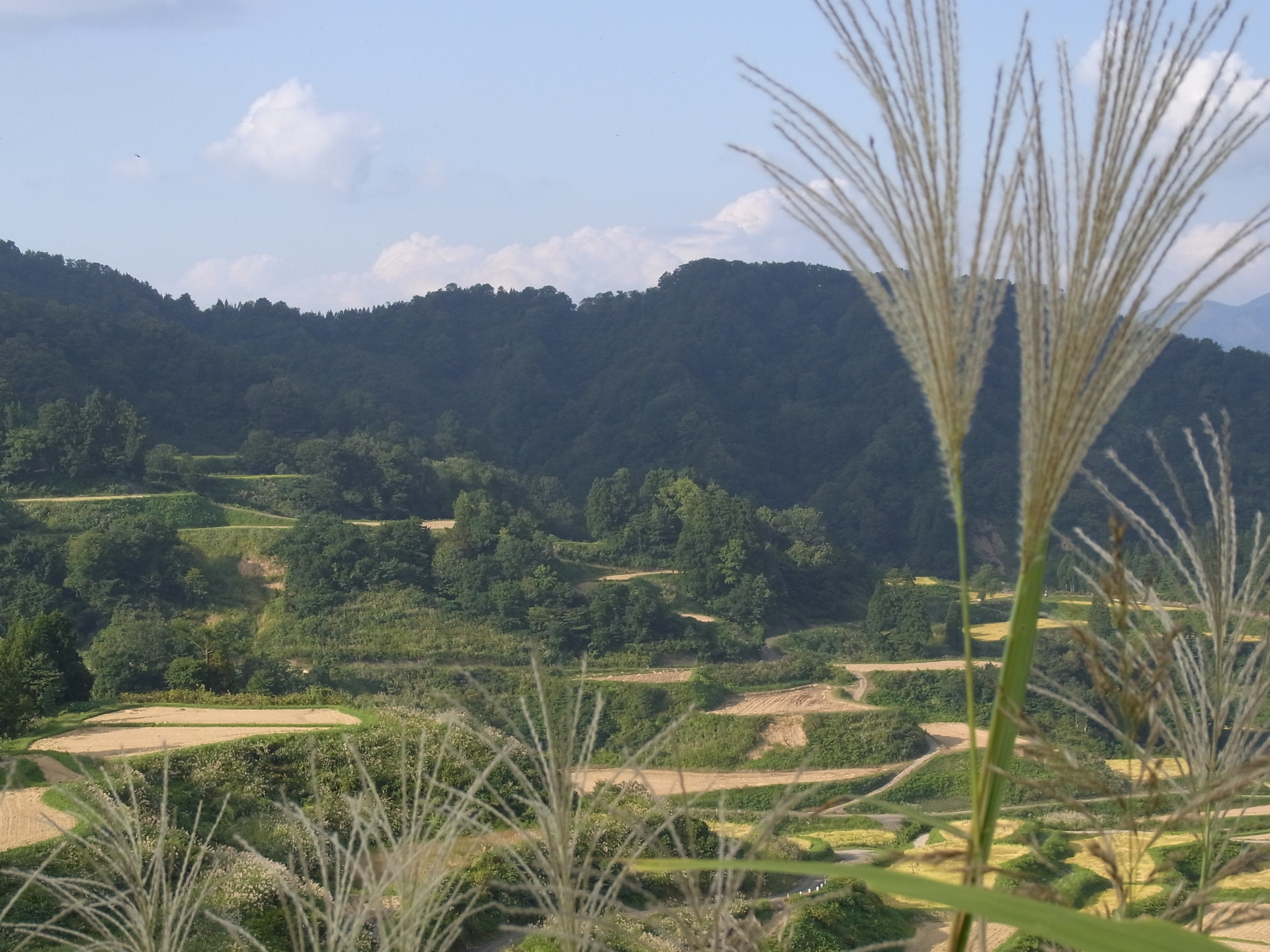 新潟県