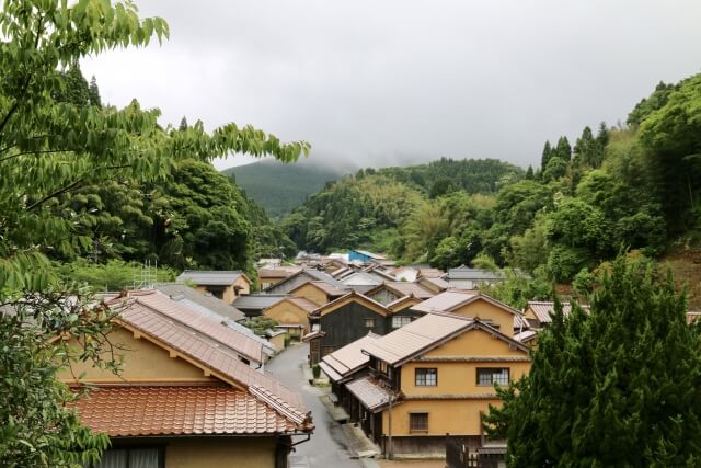 島根県に胡蝶蘭をお届けするならベストフラワー | 胡蝶蘭通販ベストフラワー