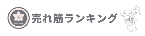 ランキング