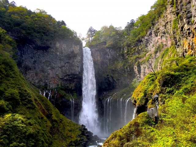 栃木県