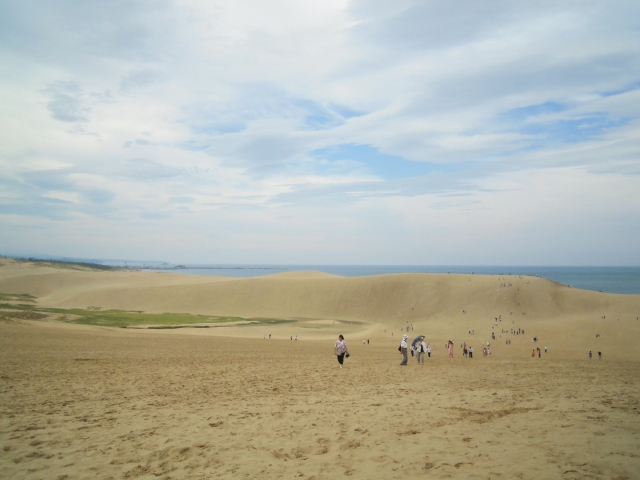 鳥取県