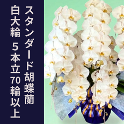5本立70輪