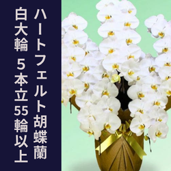 ハートフェルト5本立55輪