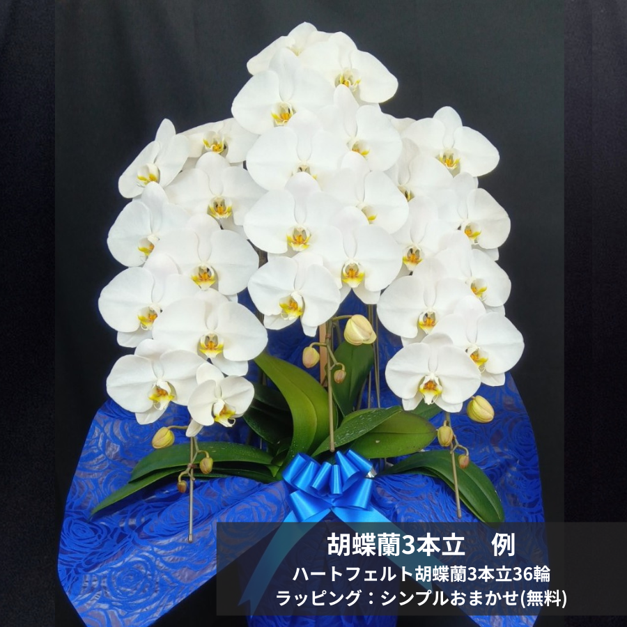 栄転御祝