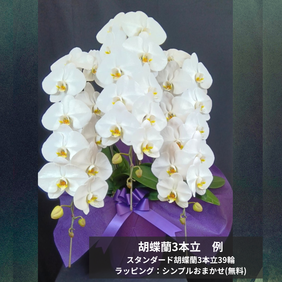 祝御栄転