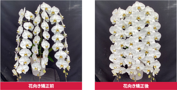 木札