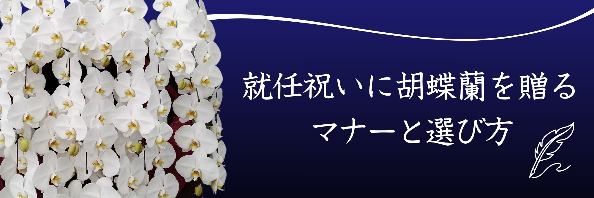 就任祝い