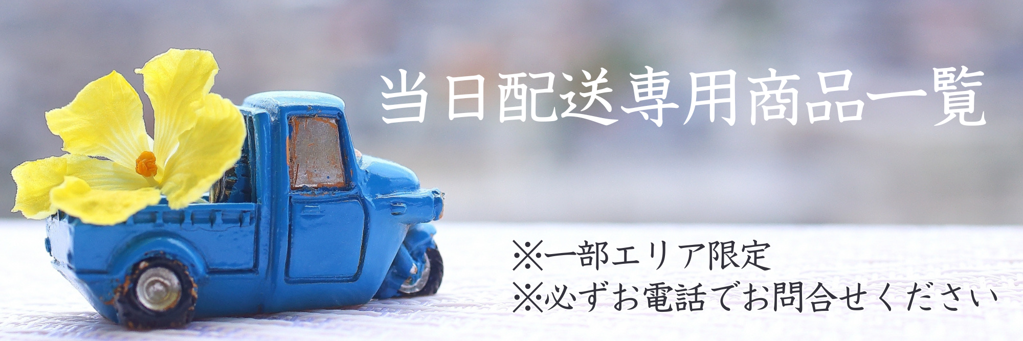 当日配送※エリア限定※必ずお電話でお問合せください