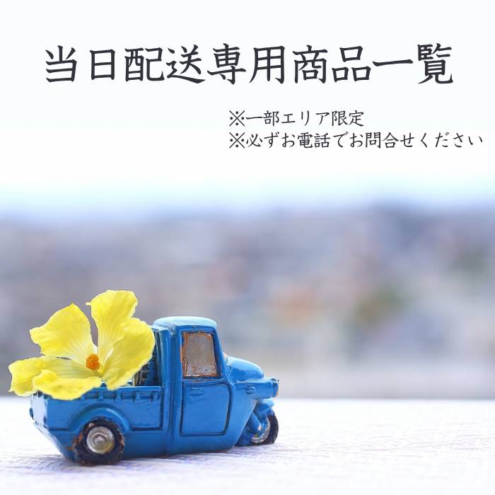 当日配送※エリア限定※必ずお電話でお問合せください